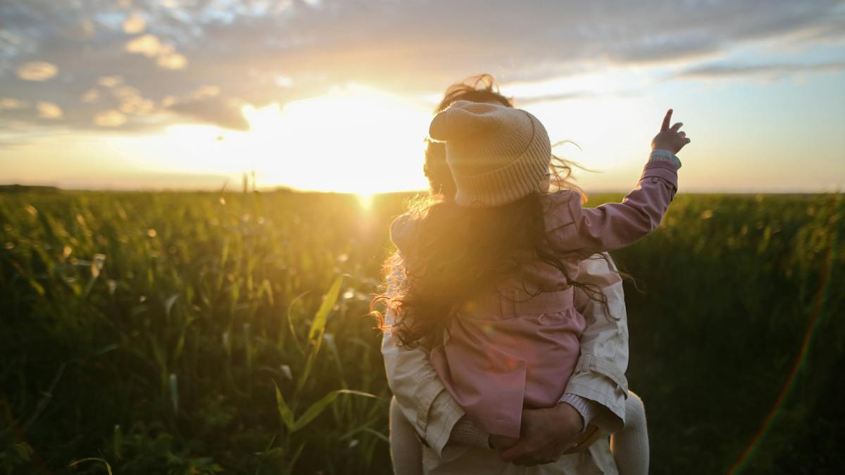 Seguro de vida: como funciona e como contratar