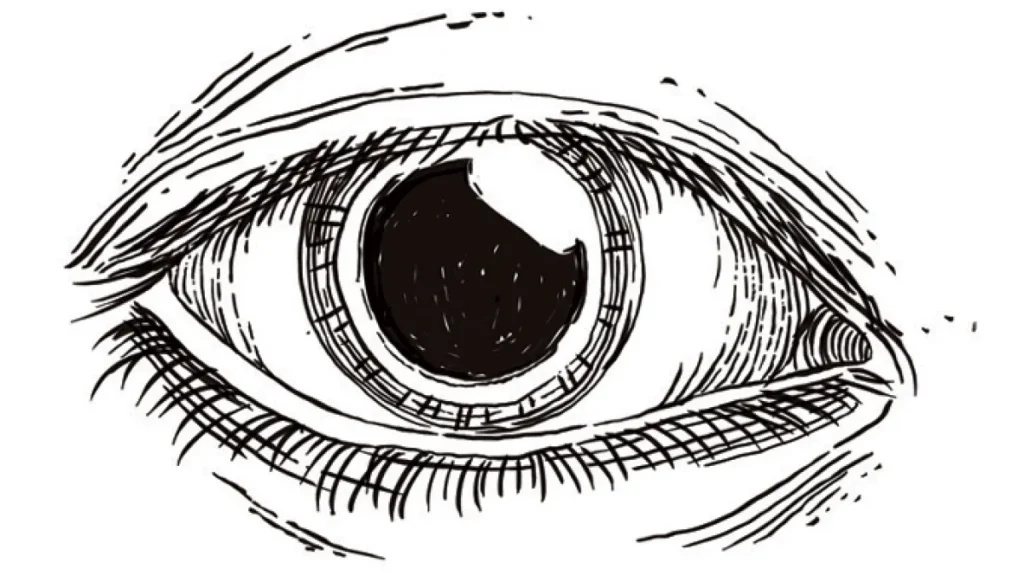 Visão após os 40: lentes que eliminam os óculos