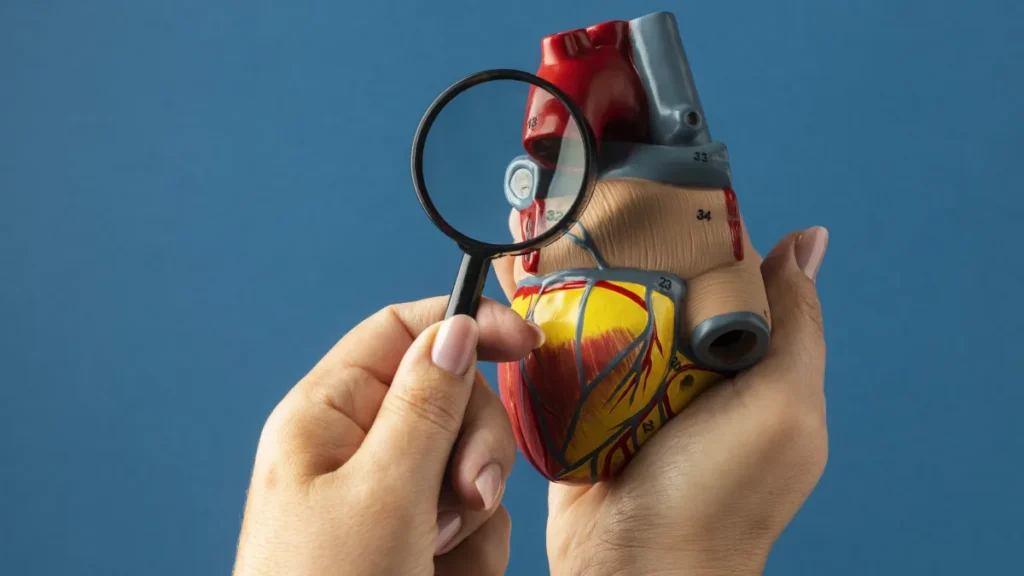 Cardiomiopatia: tipos, sintomas e tratamentos Cardiomiopatia: tipos, sintomas e tratamentos